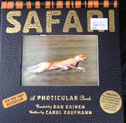 safaribk
