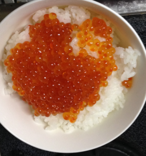 ikuradon
