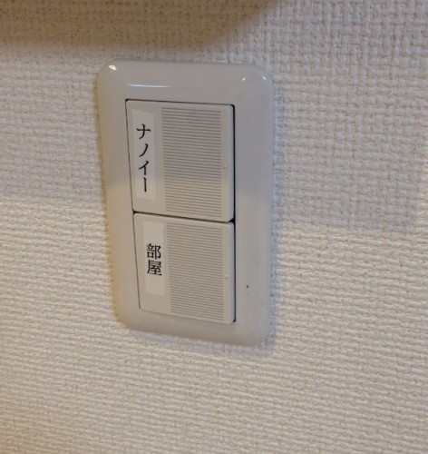 nanoedenki