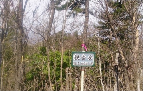 horisaka10