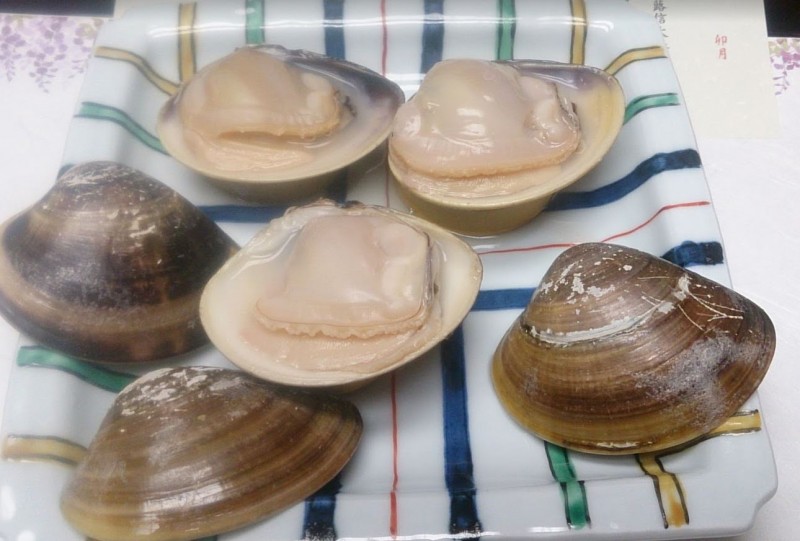 hinodehamaguri9