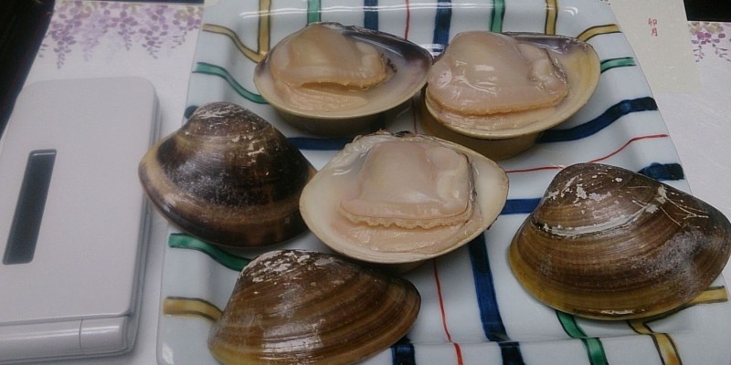 hinodehamaguri91